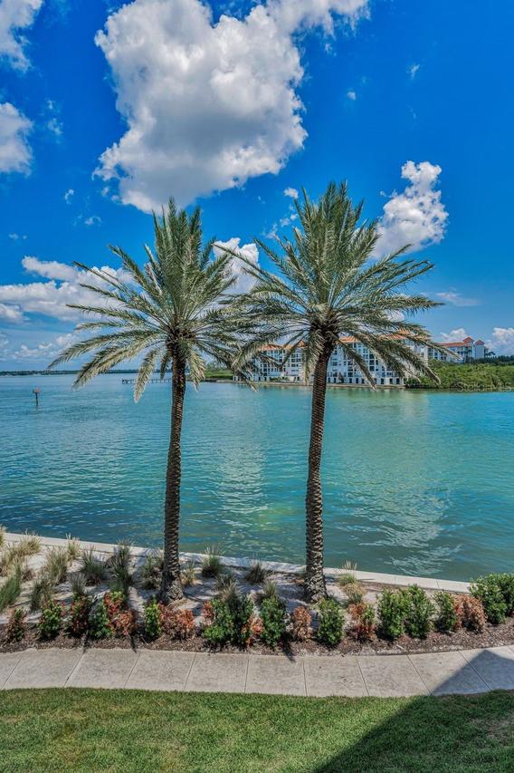 4993 Bacopa Ln. #204, St Petersburg, FL 33715