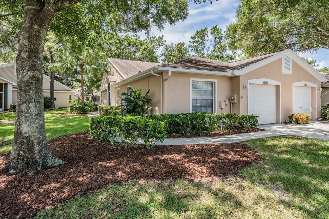4504 Connery Ct., Palm Harbor, FL 34685