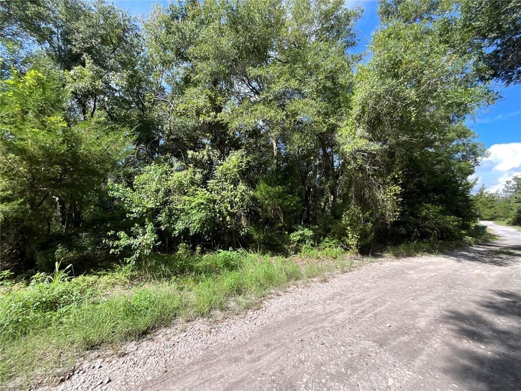 2911 Van Buren St., Inverness, FL 34453