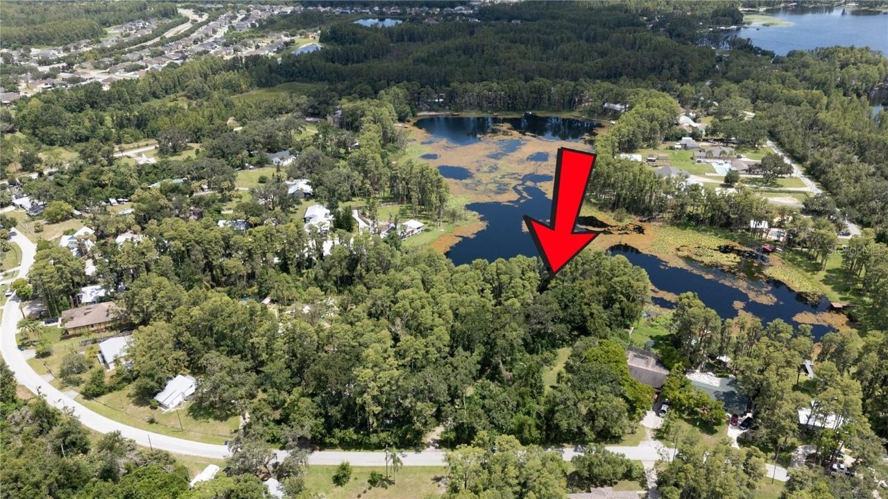 22048 Dupree Dr., Land O Lakes, FL 34639