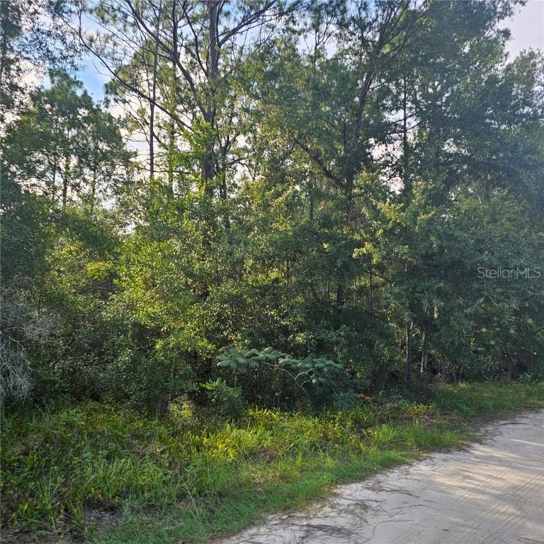4532 N Mitchum Point, Crystal River, FL 34428