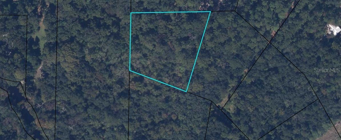 Stoney Ln., Middleburg, FL 32068