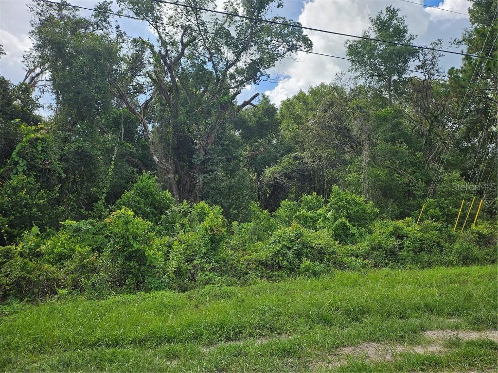 Us Highway 41, Spring Hill, FL 34610