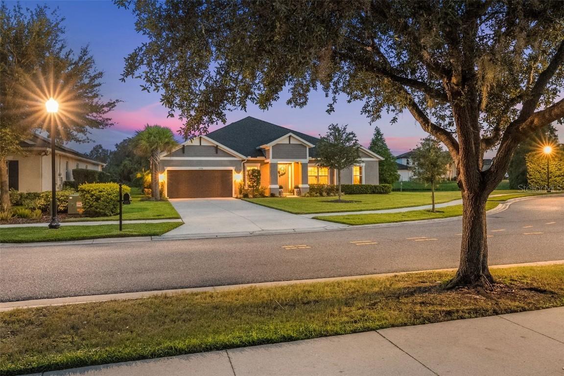 33536 Willow Point Ct., Wesley Chapel, FL 33545