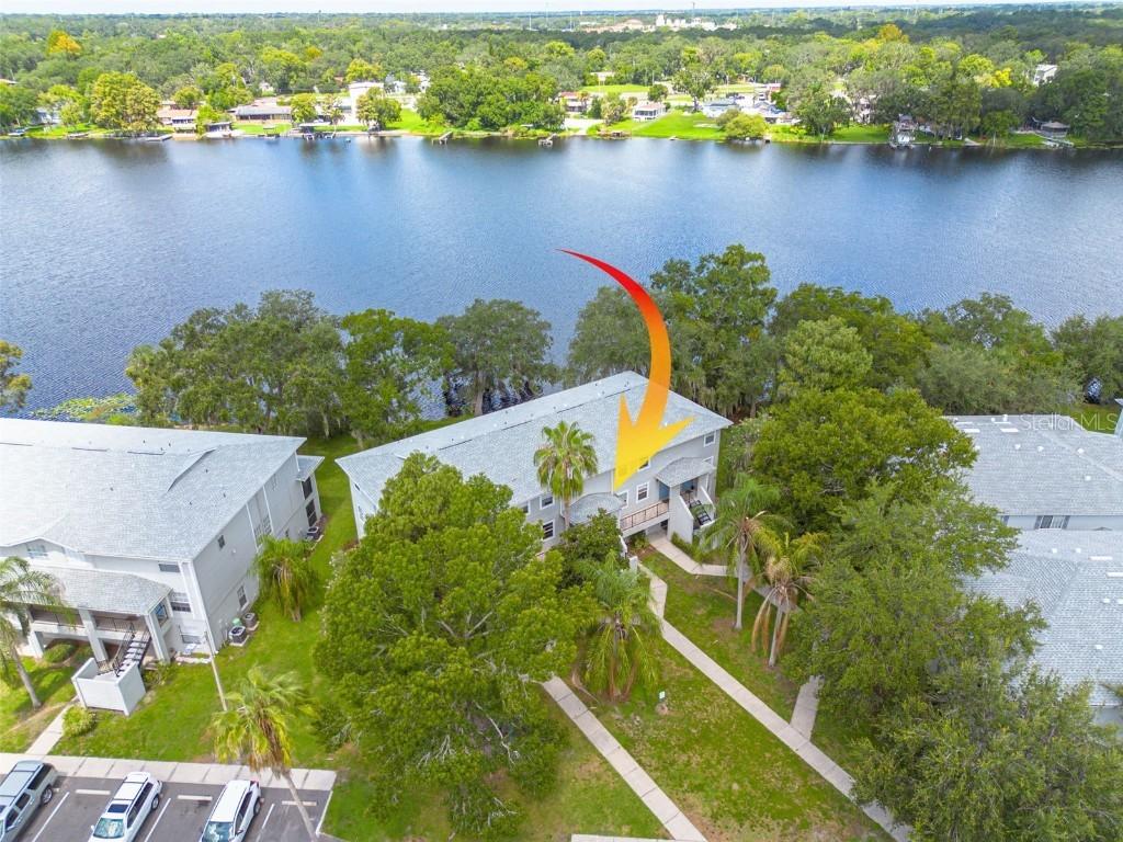 7238 E Bank Dr. #104, Tampa, FL 33617