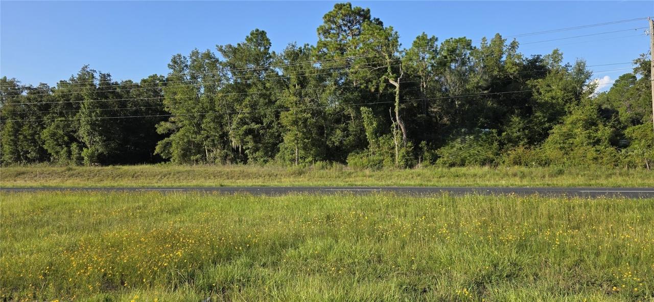 NE - Hwy. #27, Bronson, FL 32621