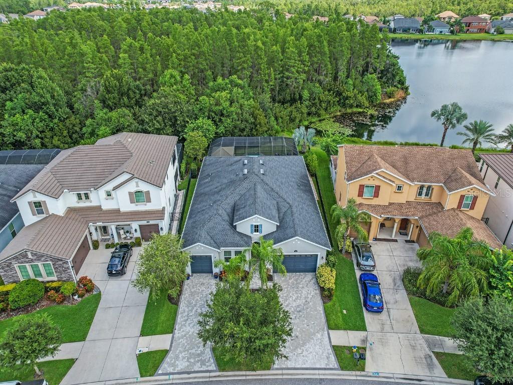 3713 Wicket Field Rd., Lutz, FL 33548