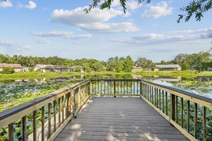 12512 Sugar Pine Way, Tampa, FL 33624