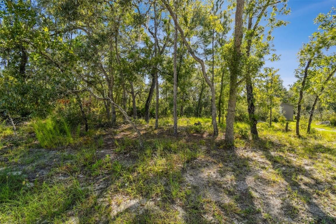 00 Maybird Ave., Weeki Wachee, FL 34613