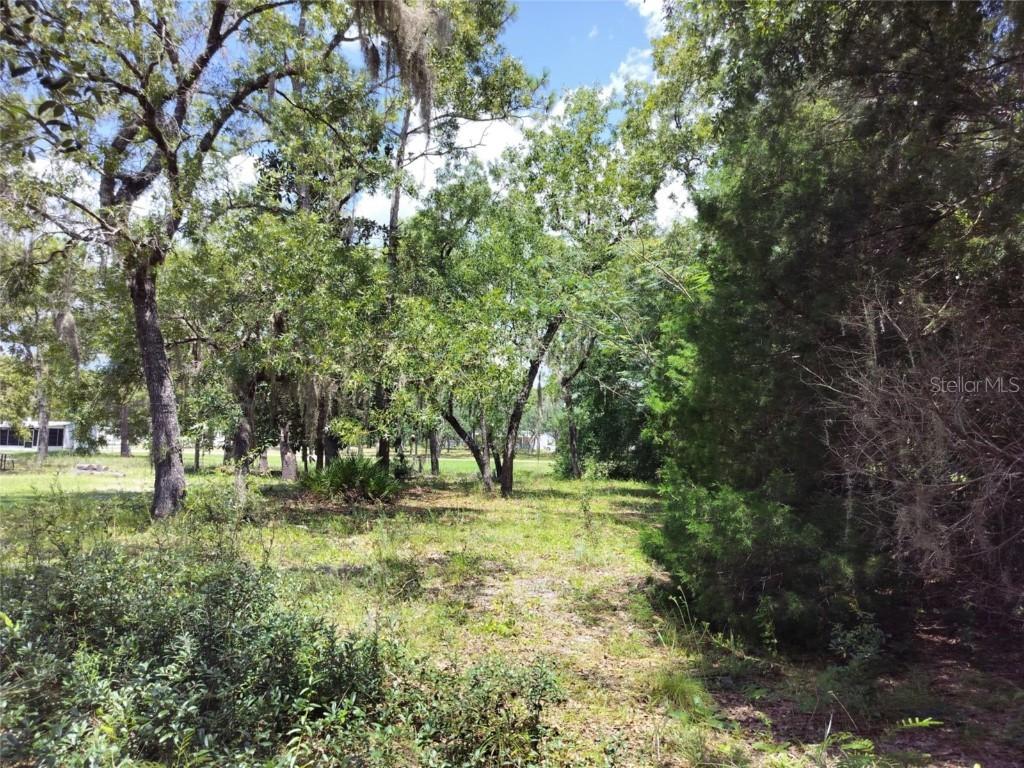 7227 W Jackson Ln., Homosassa, FL 34448