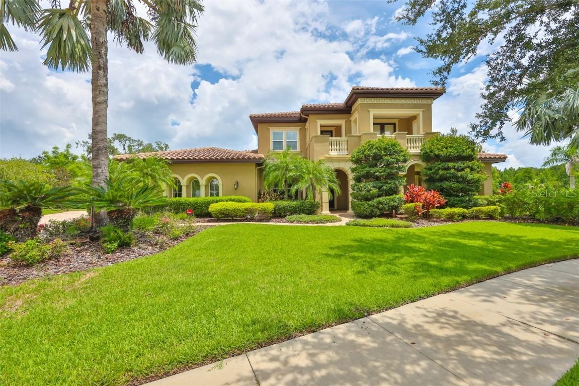 16423 Chapman Crossing Dr., Lithia, FL 33547