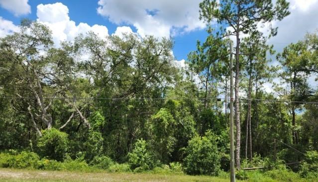 8256 Treiman Blvd., Webster, FL 33597
