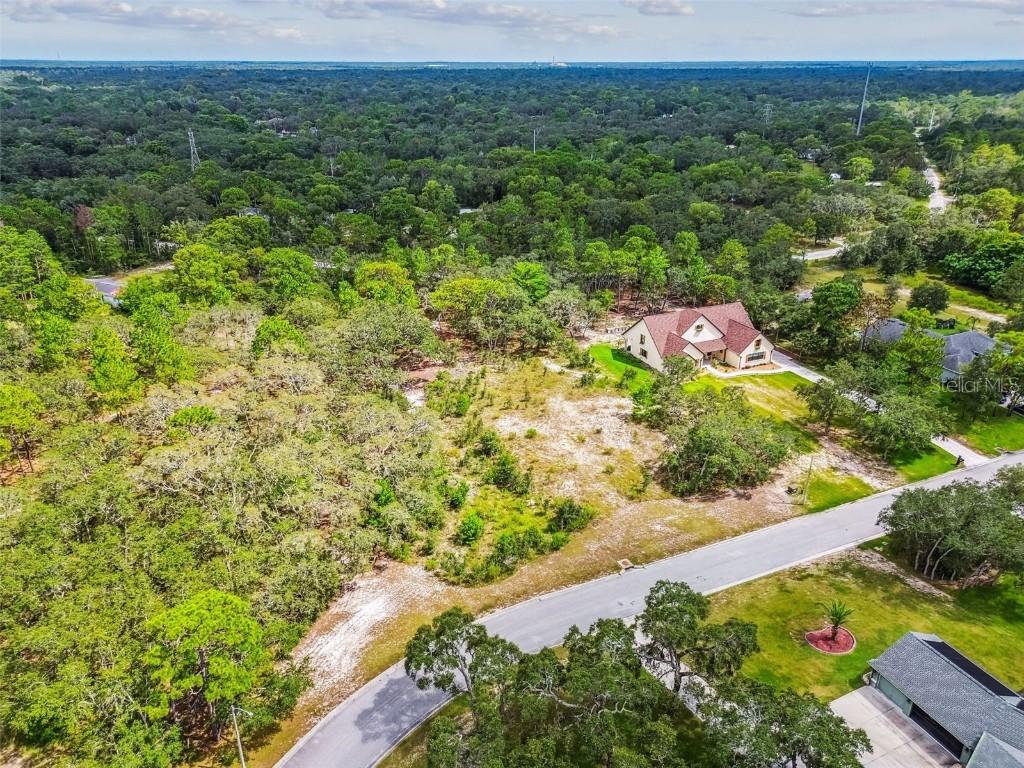 17942 Oggie Ln., Hudson, FL 34667