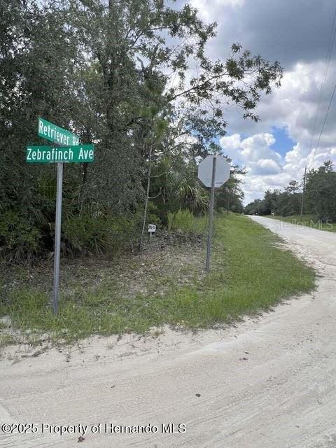 Zebrafinch Ave., Weeki Wachee, FL 34614