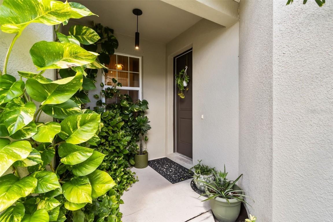 5293 Neil Dr., St Petersburg, FL 33714