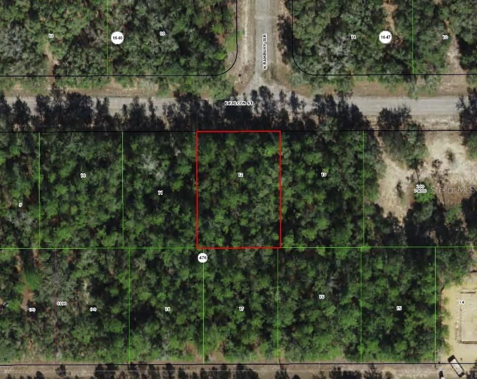 346 E Falcon St., Dunnellon, FL 34434