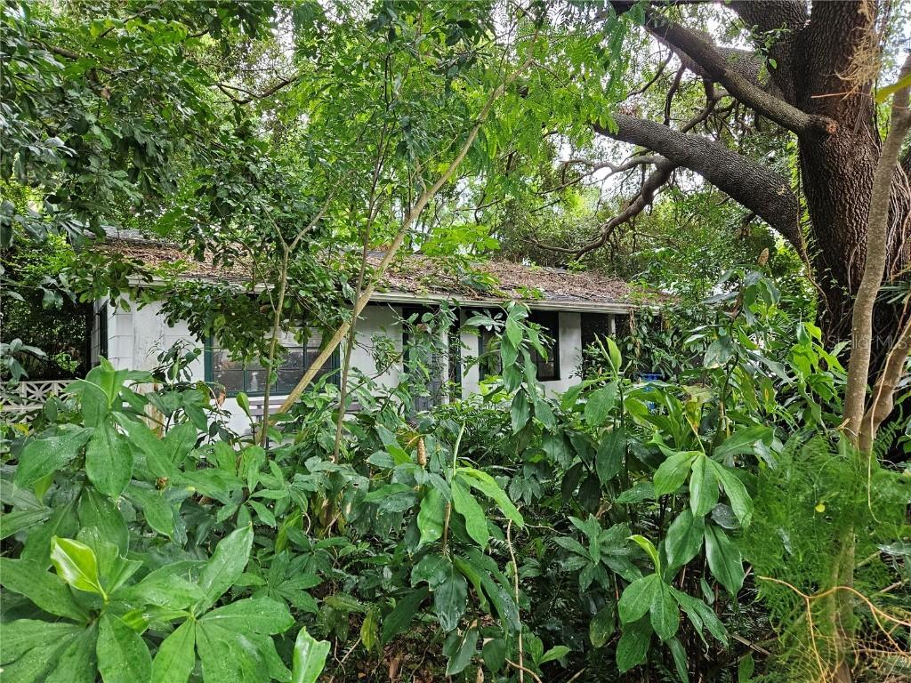 701 12th Ave., St Petersburg, FL 33701