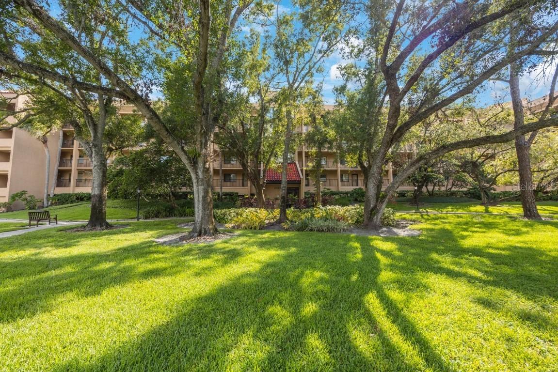 3078 Eastland Blvd. #304, Clearwater, FL 33761