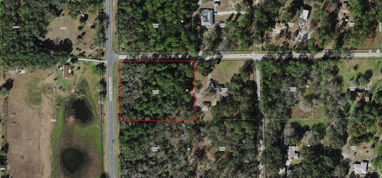 7956 W Tolle Ln., Dunnellon, FL 34433