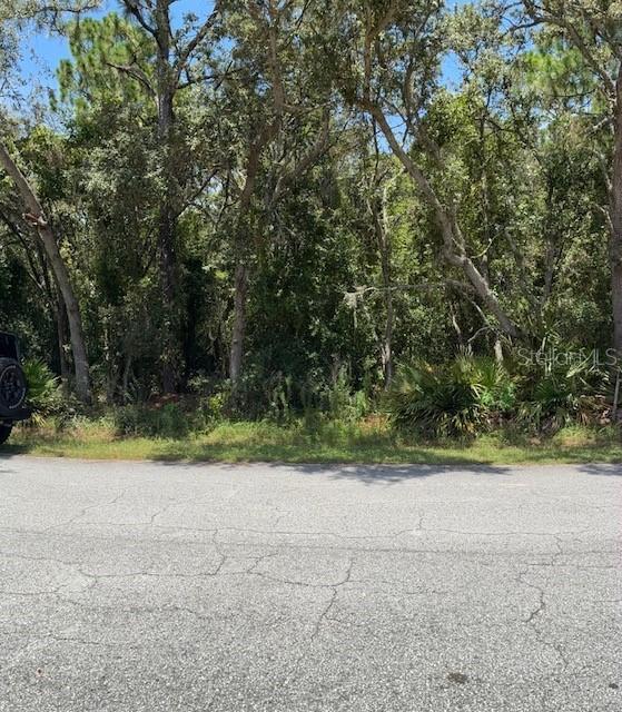 6361 W Appomattox Ln., Homosassa, FL 34448
