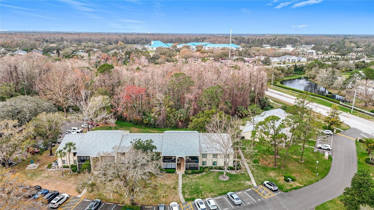 1354 Shady Pine Way #E2, Tarpon Springs, FL 34688