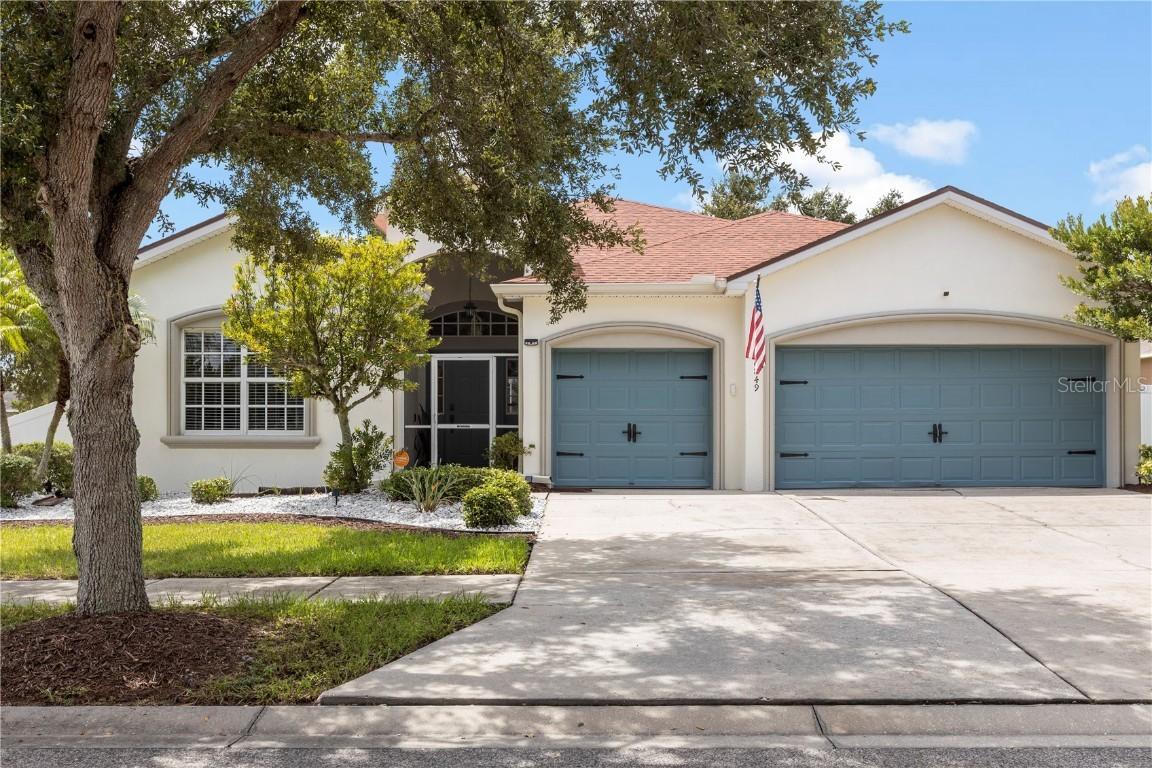 10849 Carloway Hills Dr., Wimauma, FL 33598