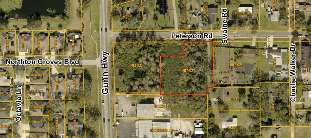 Peterson Rd., Odessa, FL 33556