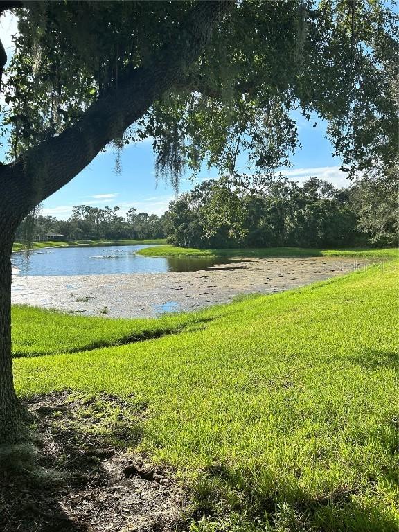 5919 Phoebenest Dr., Lithia, FL 33547