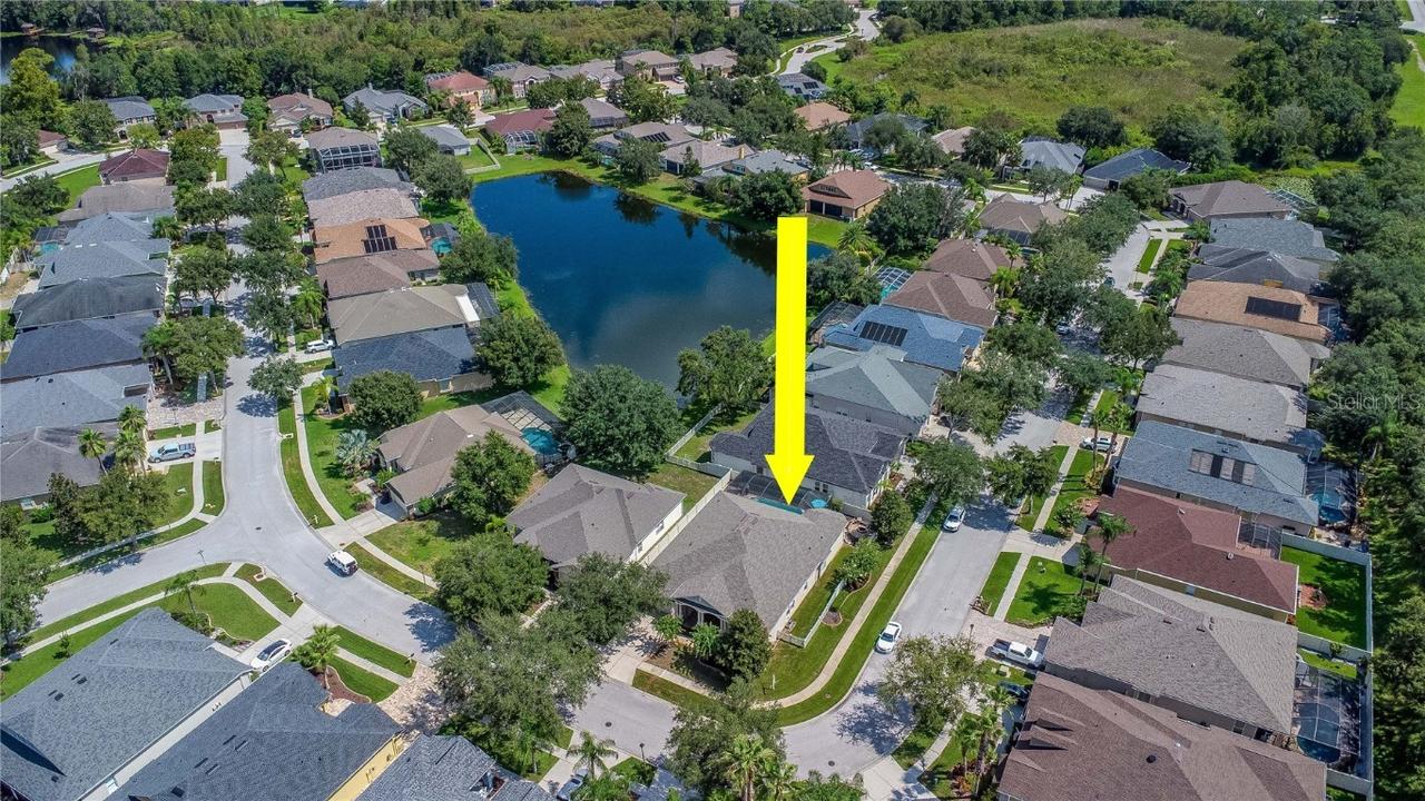 7204 Derwent Glen Cir., Land O Lakes, FL 34637