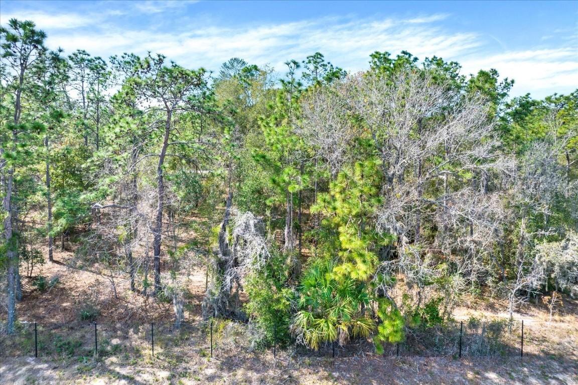 Honeycreeper Rd., Brooksville, FL 34614