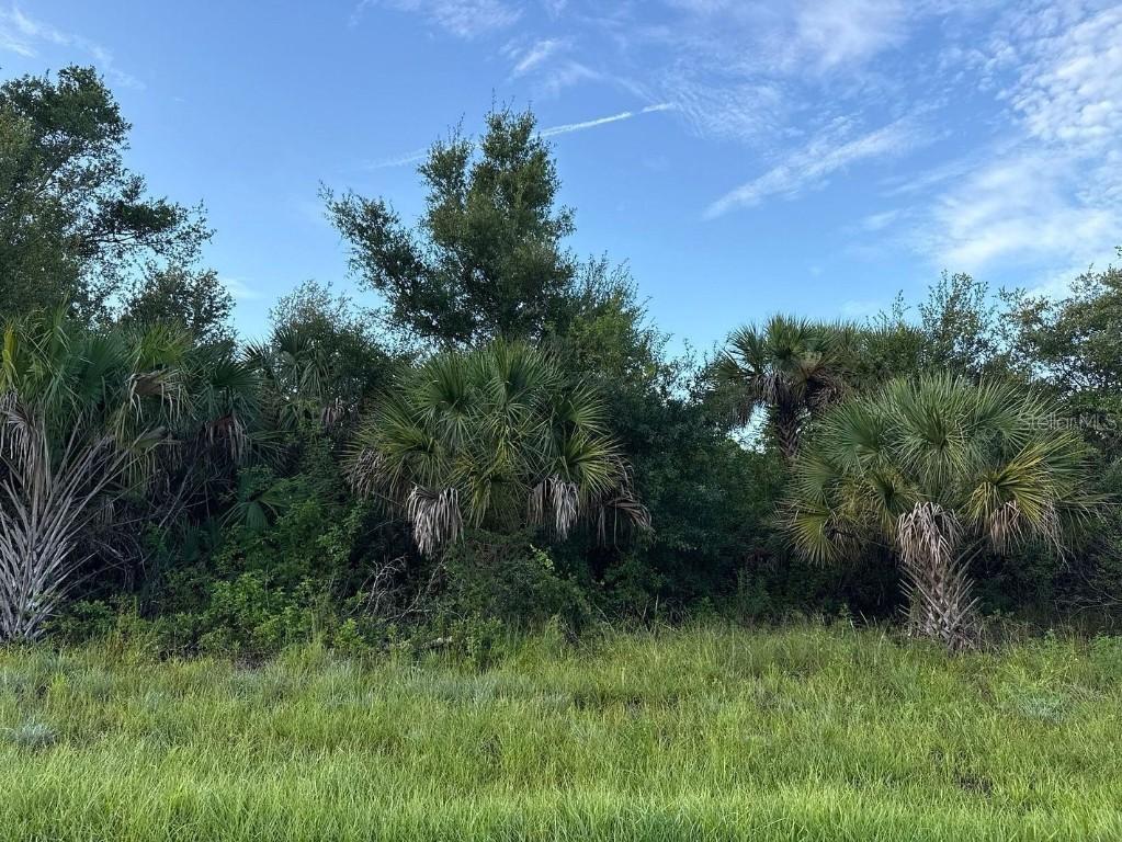 398 Sycamore St., Port Charlotte, FL 33954