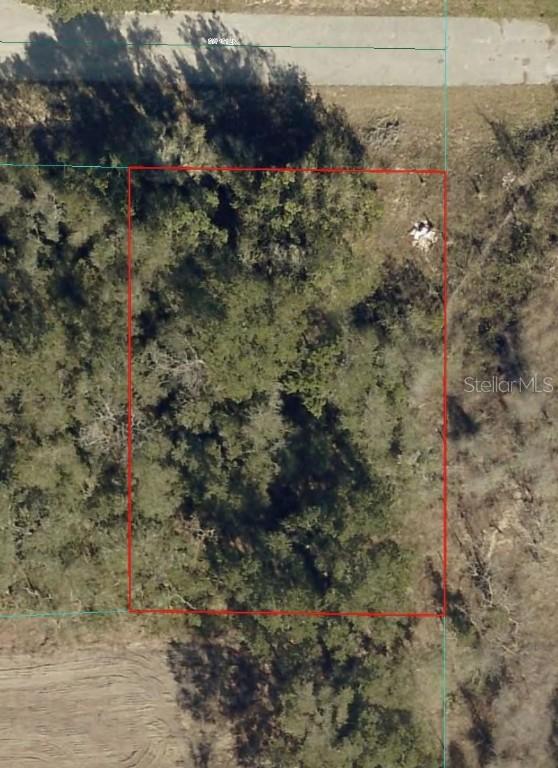 TBD SW 151st Ln., Ocala, FL 34473