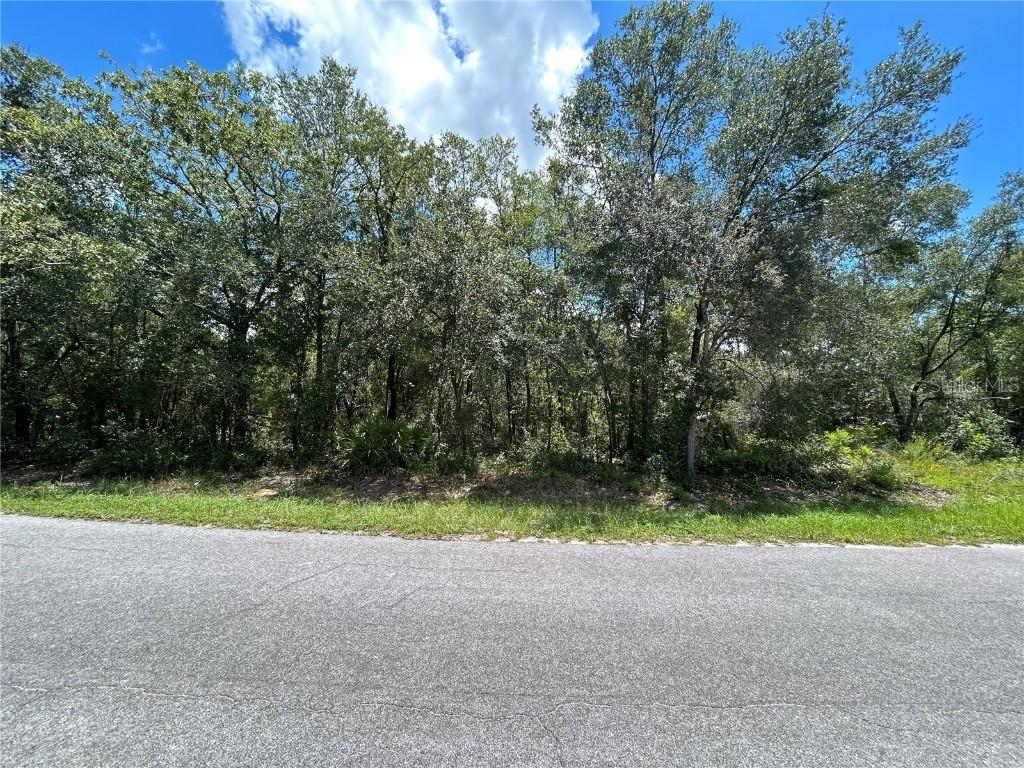 Malauka Radial Pl., Ocklawaha, FL 32179