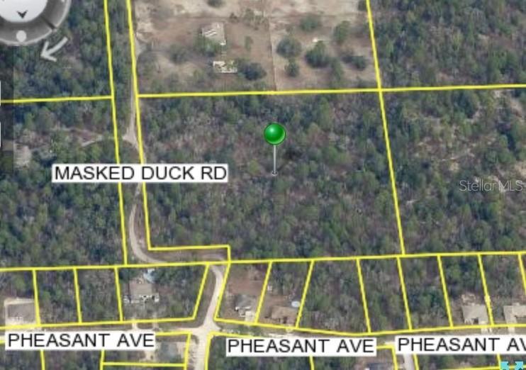 Masked Duck Rd., Brooksville, FL 34614