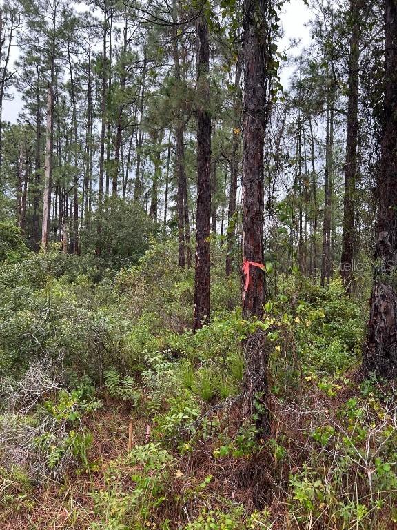 324 Belmonte Dr., Indian Lake Estates, FL 33855
