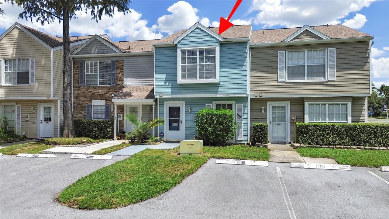 16191 Rambling Vine Dr., Tampa, FL 33624