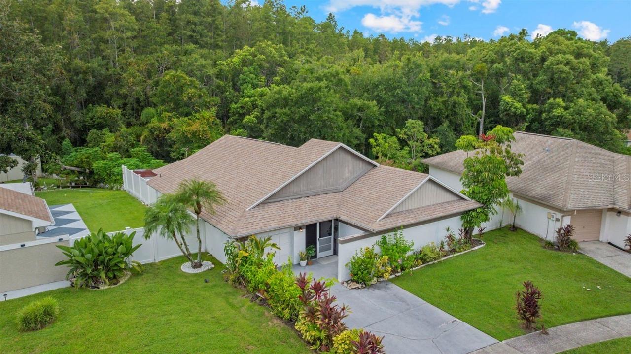 11815 Hickorynut Dr., Tampa, FL 33625