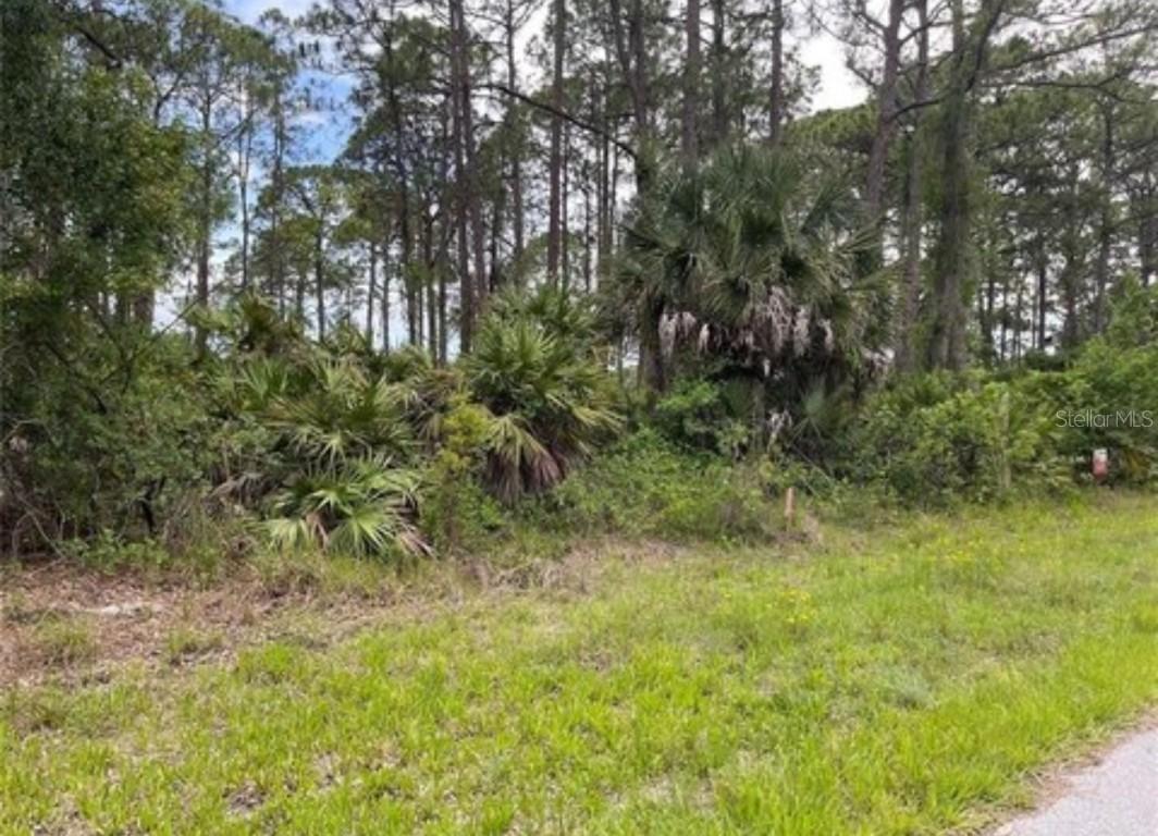 6079 E Joyce Ln., Inverness, FL 34452