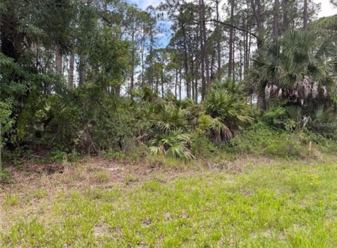 3015 Eisenhower St., Inverness, FL 34453