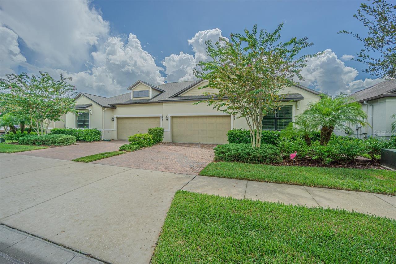 17124 Balance Cove, Land O Lakes, FL 34638