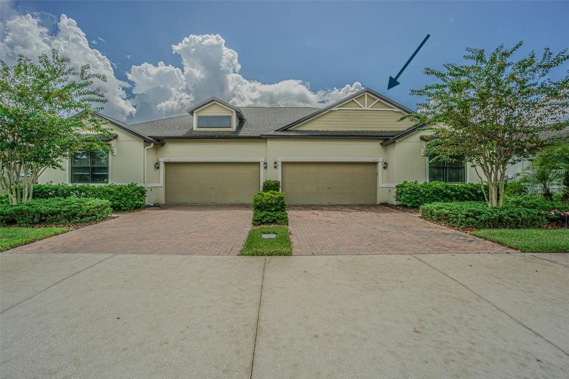 17124 Balance Cove, Land O Lakes, FL 34638