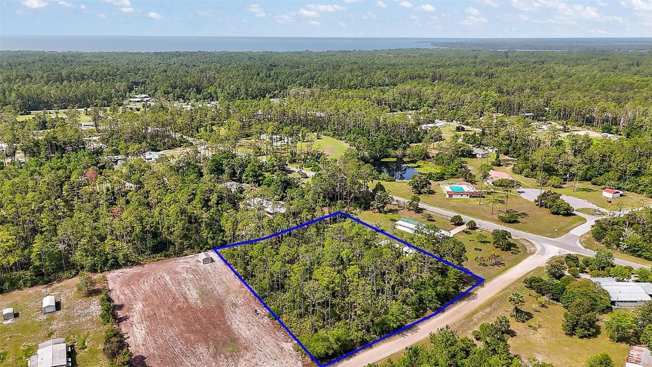 203 Ponderosa Pine Ct., Georgetown, FL 32139
