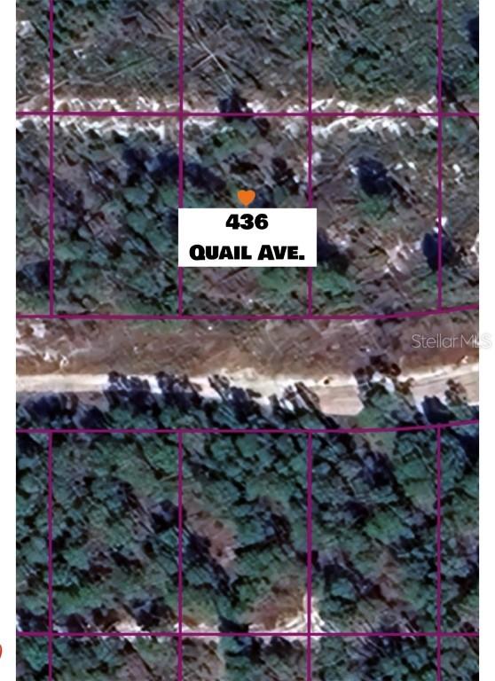 436 Quail Ave., Sebring, FL 33870