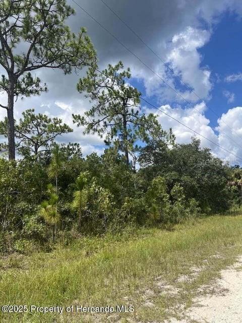 0 Yellow Frog Ave., Weeki Wachee, FL 34614