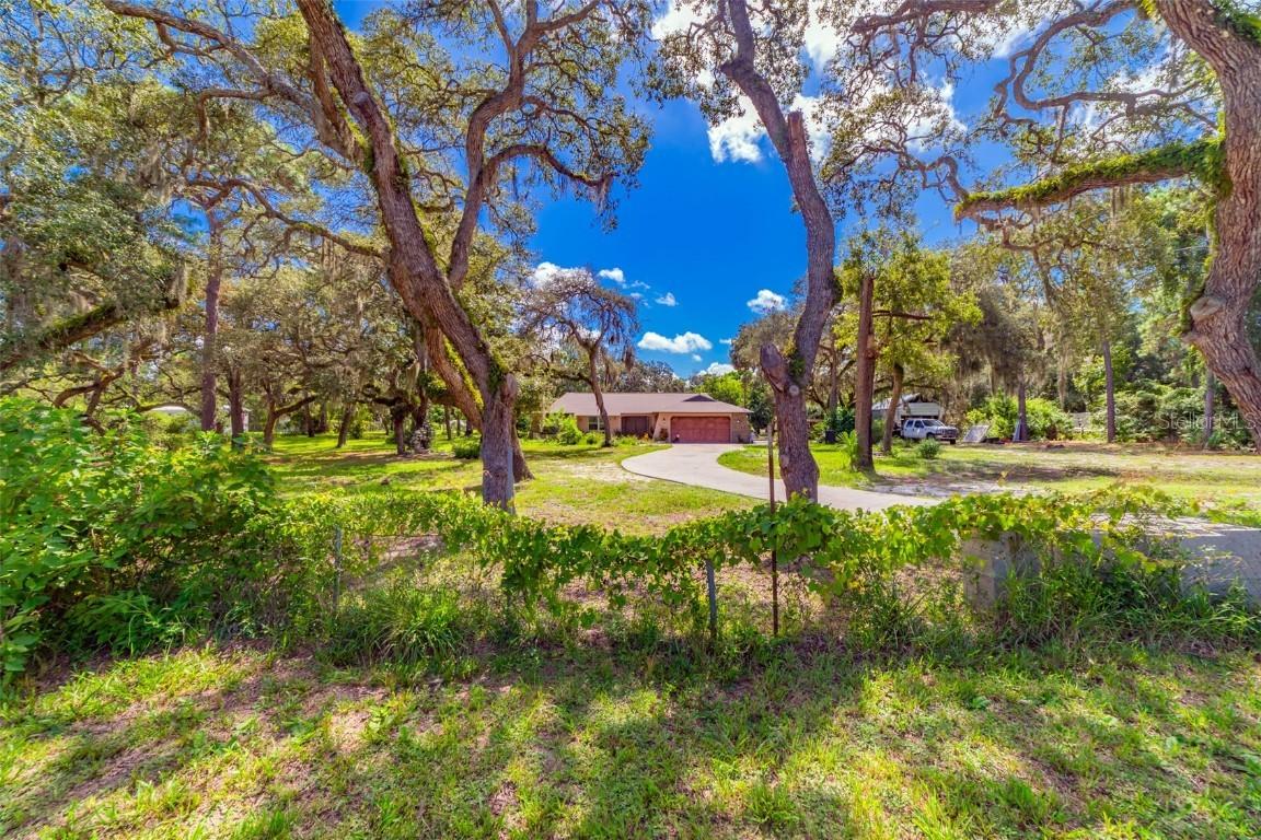 14208 Mayer Ave., Hudson, FL 34669
