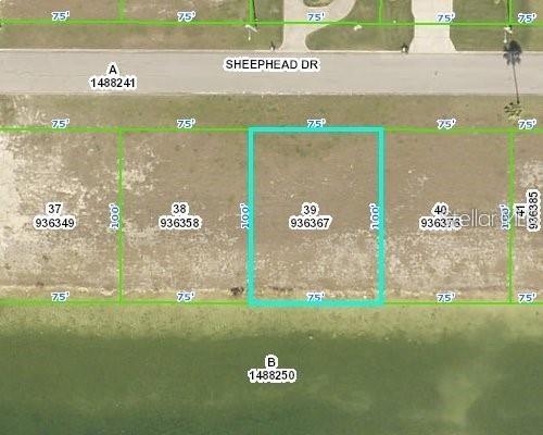3464 Sheephead Dr., Hernando Beach, FL 34607