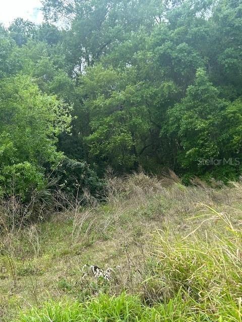 811 Henry St., Lake Wales, FL 33853
