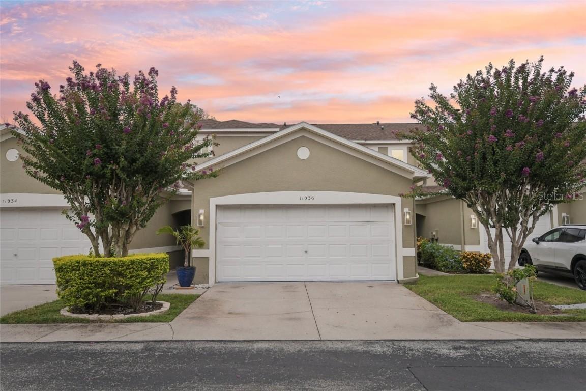 11036 Blaine Top Pl., Tampa, FL 33626