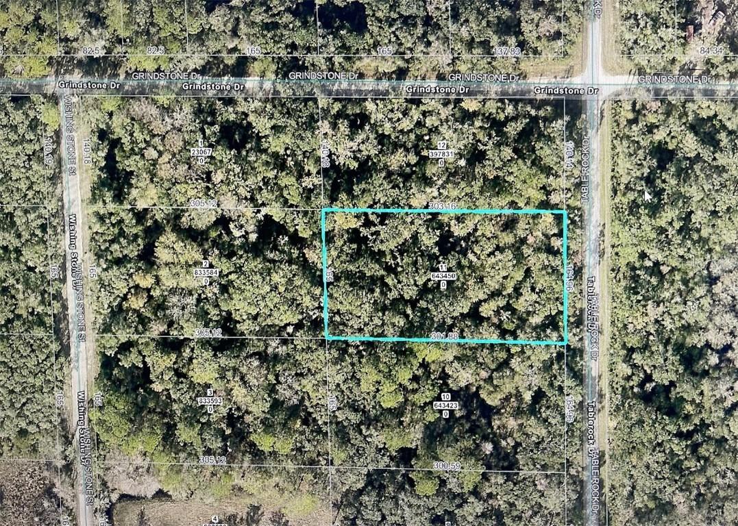 Table Rock Dr., Webster, FL 33597