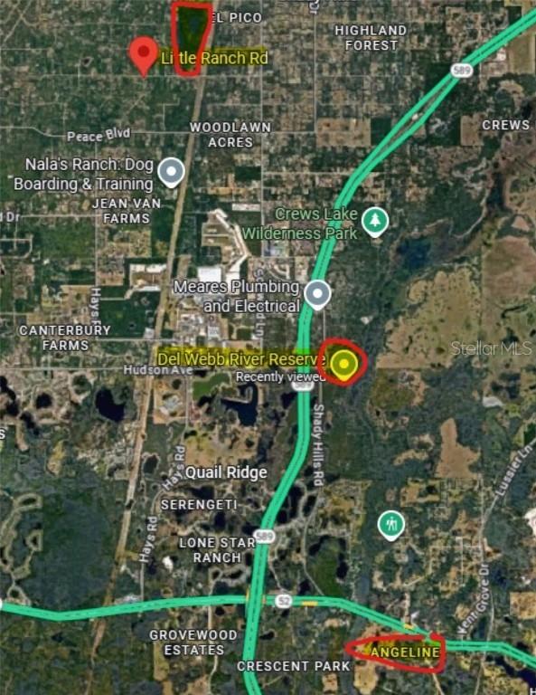 Little Ranch Road, Spring Hill, FL 34610